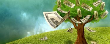 Penger som vokser på trær