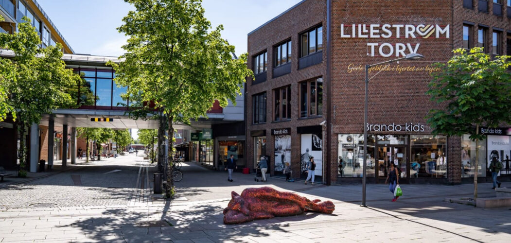 Bekymret for innvandringen i Lillestrøm