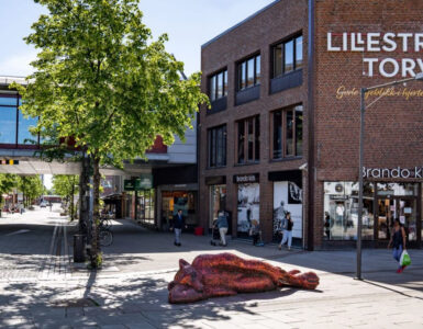 Bekymret for innvandringen i Lillestrøm